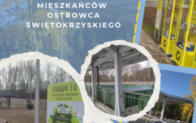 Co możesz zrobić, aby pom&oacute;c amazońskim lasom tropikalnym