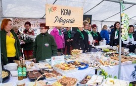 658999086_1548016580184416_5912207644387946395_n