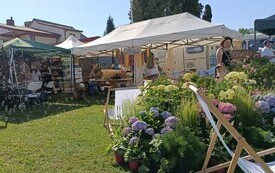 IMG_20260627_163629
