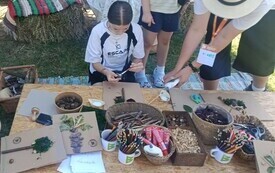 IMG_20260627_154435