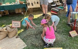 FB_IMG_1782808253787