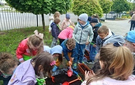 IMG_20260518_092806