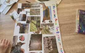 IMG-20260320-WA0027