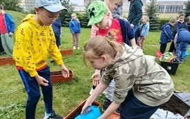 IMG_20260518_114011