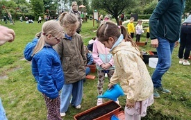 IMG_20260518_113907