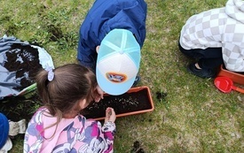 IMG_20260518_113149
