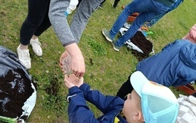 IMG_20260518_113145