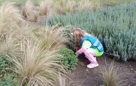 IMG_20260918_095210