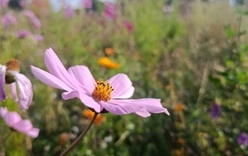 IMG_20261007_140247