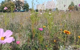 IMG_20261007_135802