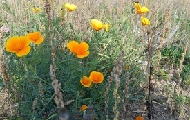 IMG_20261007_135731