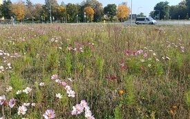 IMG_20261007_140019