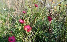IMG_20261007_140055
