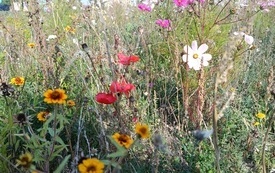 IMG_20261007_140203