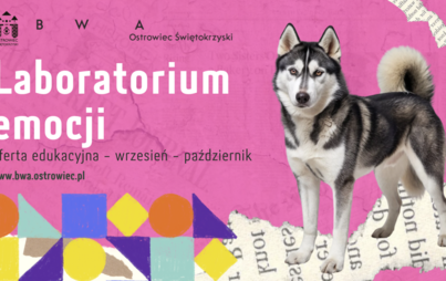 Zdjęcie do OFERTA EDUKACYJNA W BWA OSTROWIEC ŚWIĘTOKRZYSKI