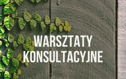 Zdjęcie do Warsztaty konsultacyjne&nbsp;w ramach prac nad Programem Edukacji Ekologicznej dla miasta Ostrowca Świętokrzyskiego do roku 2030