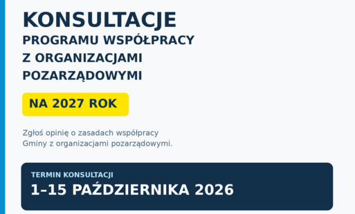 NGO KONSULTACJE