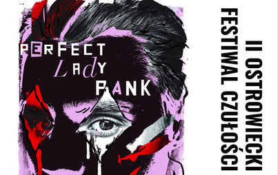 Zdjęcie do Projekt "Perfect Lady Pank"